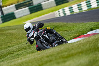 cadwell-no-limits-trackday;cadwell-park;cadwell-park-photographs;cadwell-trackday-photographs;enduro-digital-images;event-digital-images;eventdigitalimages;no-limits-trackdays;peter-wileman-photography;racing-digital-images;trackday-digital-images;trackday-photos